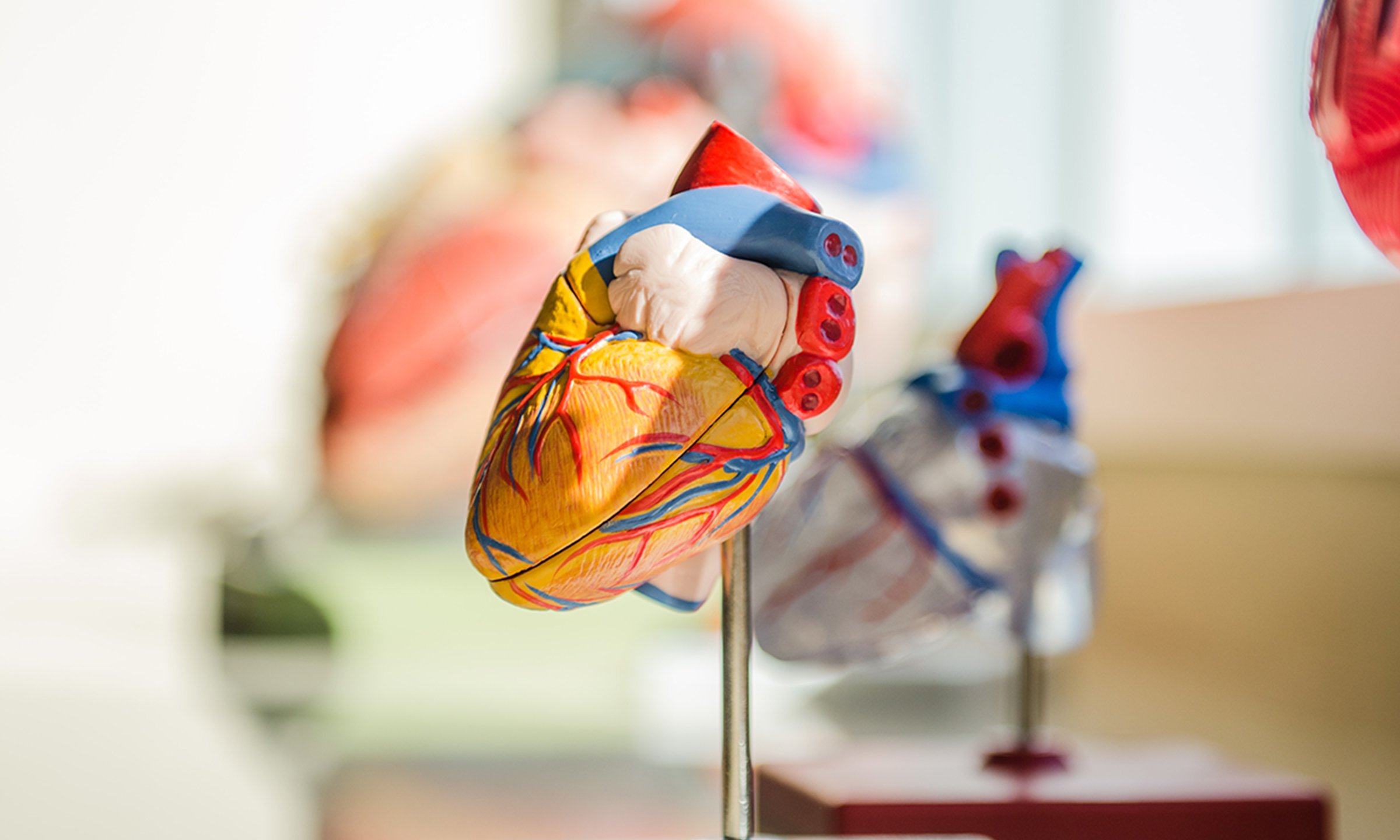 elixirr-covid-obesity