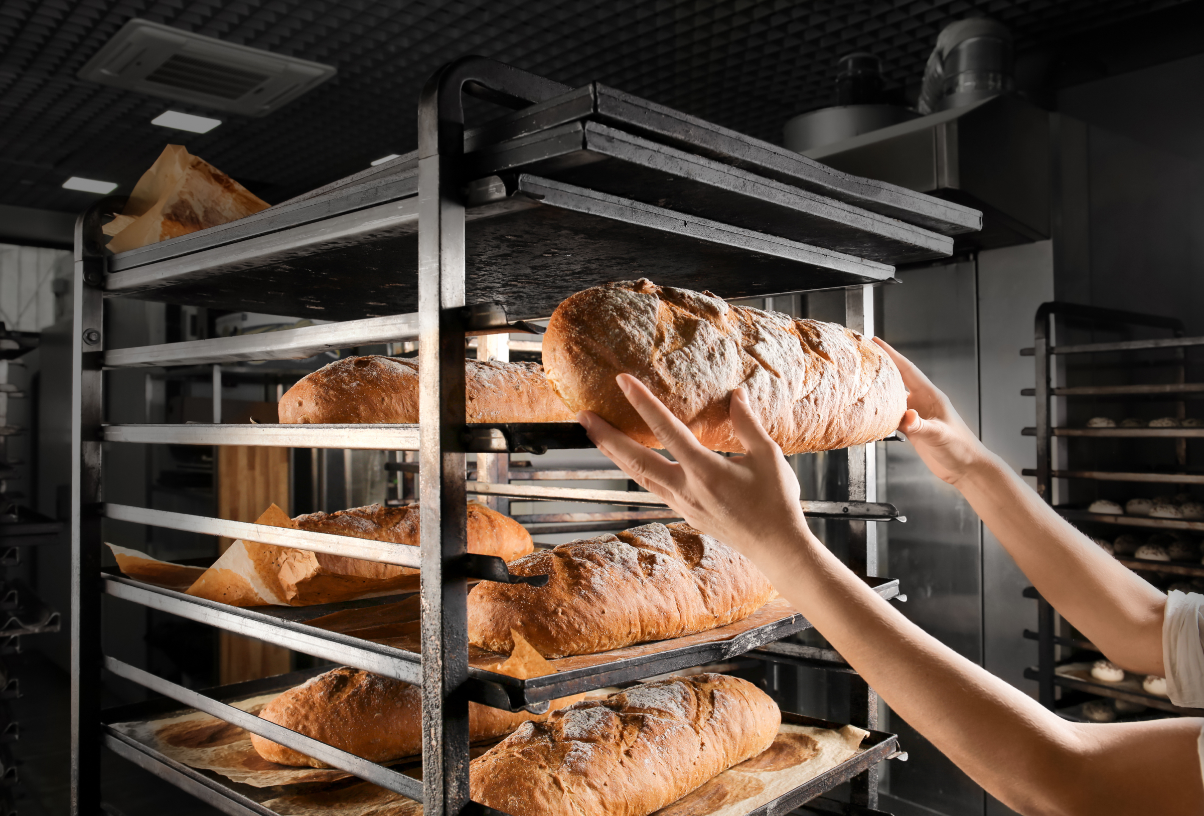 Freshly baked loaves of bread being placed on a cooling rack